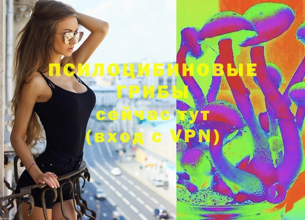 ПСИЛОЦИБИНОВЫЕ ГРИБЫ Краснотурьинск