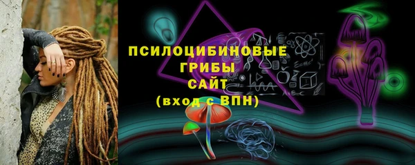 ПСИЛОЦИБИНОВЫЕ ГРИБЫ Краснотурьинск