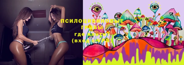 молекула духа Краснослободск