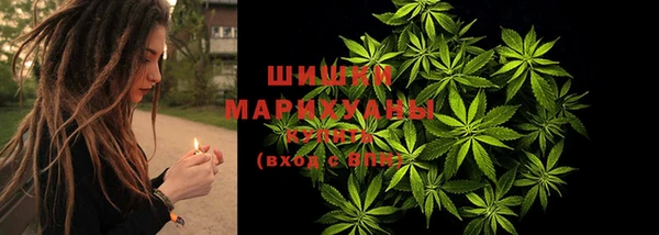 молекула духа Краснослободск