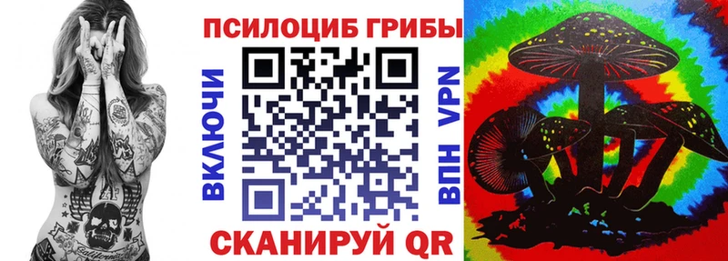 дарнет шоп  Чусовой  Псилоцибиновые грибы мухоморы 